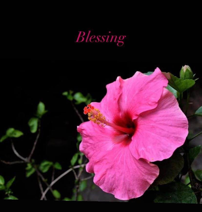 Blessing House Apartment เนเปิลส์ ภายนอก รูปภาพ